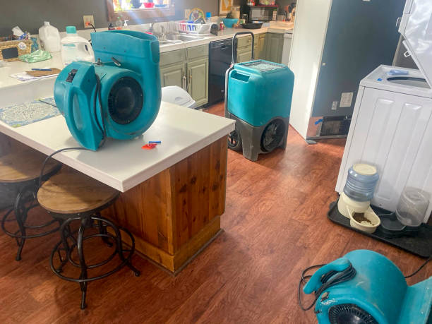 Best Water damage restoration services  in Chatmoss, VA