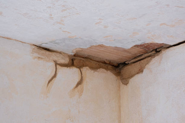 Best Fire Damage Restoration  in Chatmoss, VA