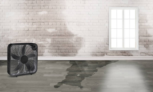 Best Residential water damage restoration  in Chatmoss, VA