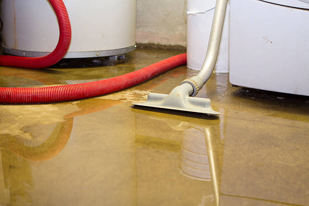 Best Flood damage cleanup  in Chatmoss, VA